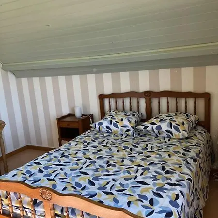 Francois Holiday home Vaudelnay